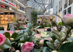 Fruehling In Der Goethe Galerie  Februar 2026 10